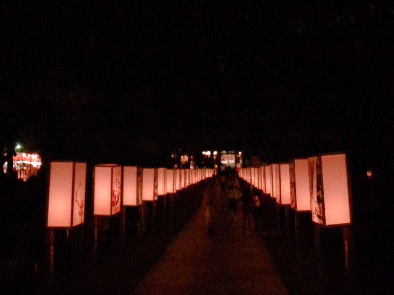 平塚八幡宮 ぼんぼり祭り 湘南の夜を彩る優しい灯り 湘南lovers