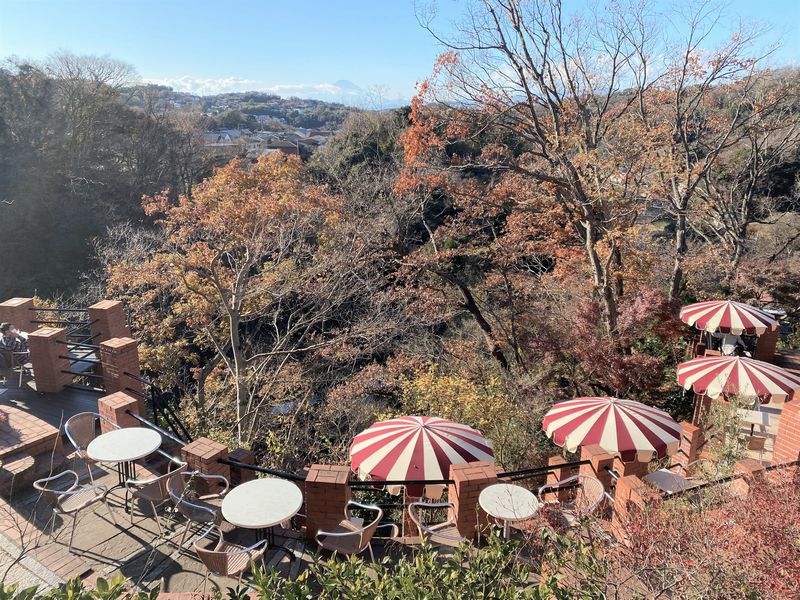 鎌倉 樹ガーデン そこはまるで別世界 天空に浮かぶカフェで森林浴を楽しもう ペットok 湘南lovers 湘南ラバーズ