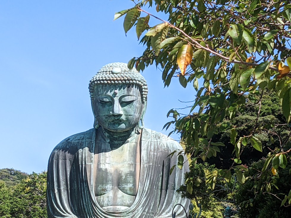 鎌倉 大仏 高徳院 大きくて美しい鎌倉のシンボル 見どころ 行き方を詳しく紹介 湘南lovers 湘南ラバーズ