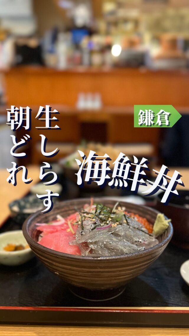鎌倉グルメ